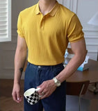 Vertical Stripe Knit Polo Men's Shirts Summer New Slim Solid Color Breathable Turn-Down Collar Business Short Sleeve Polo Tops